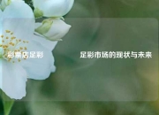 彩票店足彩🎖️足彩市场的现状与未来