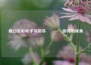 盘口足彩电子书田伟🏅田伟的视角