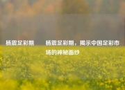 杨震足彩期✌️杨震足彩期，揭示中国足彩市场的神秘面纱