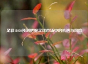 足彩18020预测把握足球市场中的机遇与风险