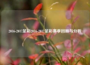 2016-2017足彩2016-2017足彩赛季回顾与分析