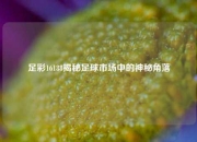 足彩16188揭秘足球市场中的神秘角落
