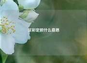 足彩定胆什么意思