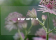 足彩进球数怎么猜
