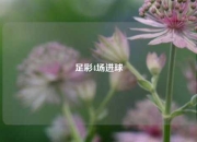 足彩4场进球