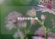 竞彩足彩推荐310期