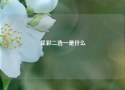 足彩二选一是什么