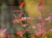 足彩18169