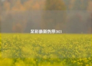 足彩最新伤停2021