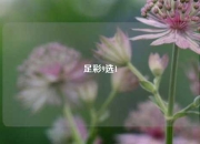 足彩9选1