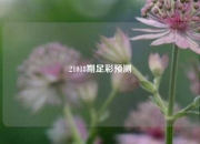 21018期足彩预测