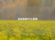 足彩胜胜什么意思