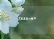 竞彩足彩500推荐