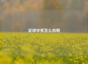 足球中奖怎么扣税