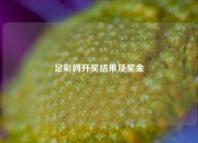 足彩网开奖结果及奖金
