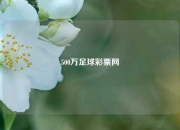 500万足球彩票网