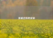 圣诞过后的足彩