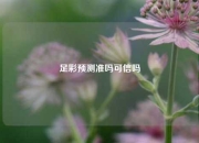 足彩预测准吗可信吗