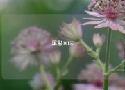 足彩16157