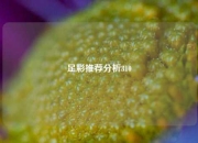 足彩推荐分析310
