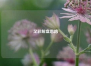 足彩解盘思路