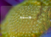 足彩20162期