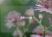 足彩15164期