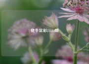 佬牛足彩21114期