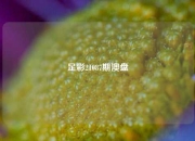 足彩21087期澳盘