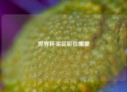 世界杯买足彩在哪里