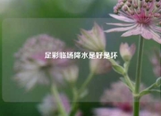 足彩临场降水是好是坏