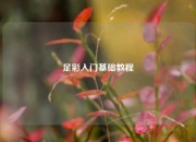 足彩入门基础教程