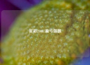 足彩21087盈亏指数