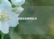 雪园足彩即时比分