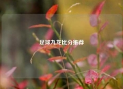足球九龙比分推荐
