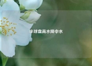 半球盘高水降中水