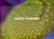 中国足彩 中超最新消息