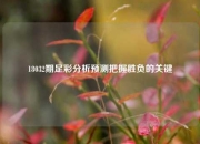 18032期足彩分析预测把握胜负的关键