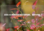 足彩22068期推荐把握关键时刻，稳中求胜