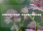 世界杯足彩分析预测一场全球瞩目的足彩盛宴