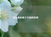 足彩竟彩两个不同的世界