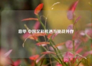 意甲 中国足彩机遇与挑战并存