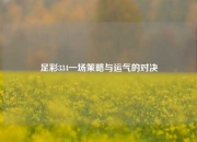 足彩334一场策略与运气的对决