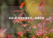 足彩2串1预测把握机会，稳赚不赔