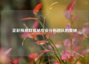 足彩预测群揭秘专业分析团队的奥秘