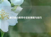 通过组合概率中足彩策略与技巧