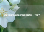 足彩亚盘外围竞彩把握比赛的每一个细节