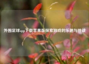 外围足球app下载苹果版探索游戏的乐趣与挑战
