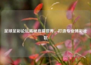 足球足彩论坛揭秘竞猜世界，打造专业博彩社区