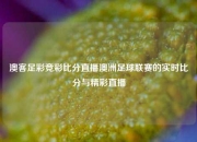 澳客足彩竞彩比分直播澳洲足球联赛的实时比分与精彩直播